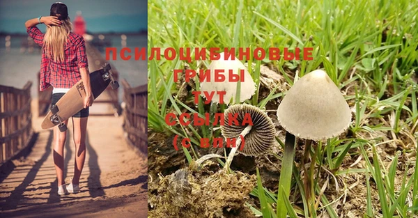 прущая мука Володарск