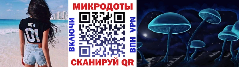 Галлюциногенные грибы Cubensis  Иннополис 